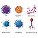 Diferentes ejemplos de virus