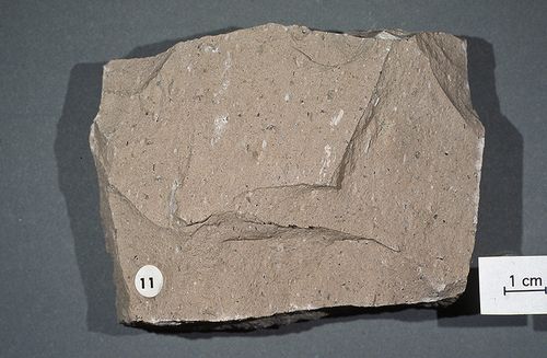 Riolita